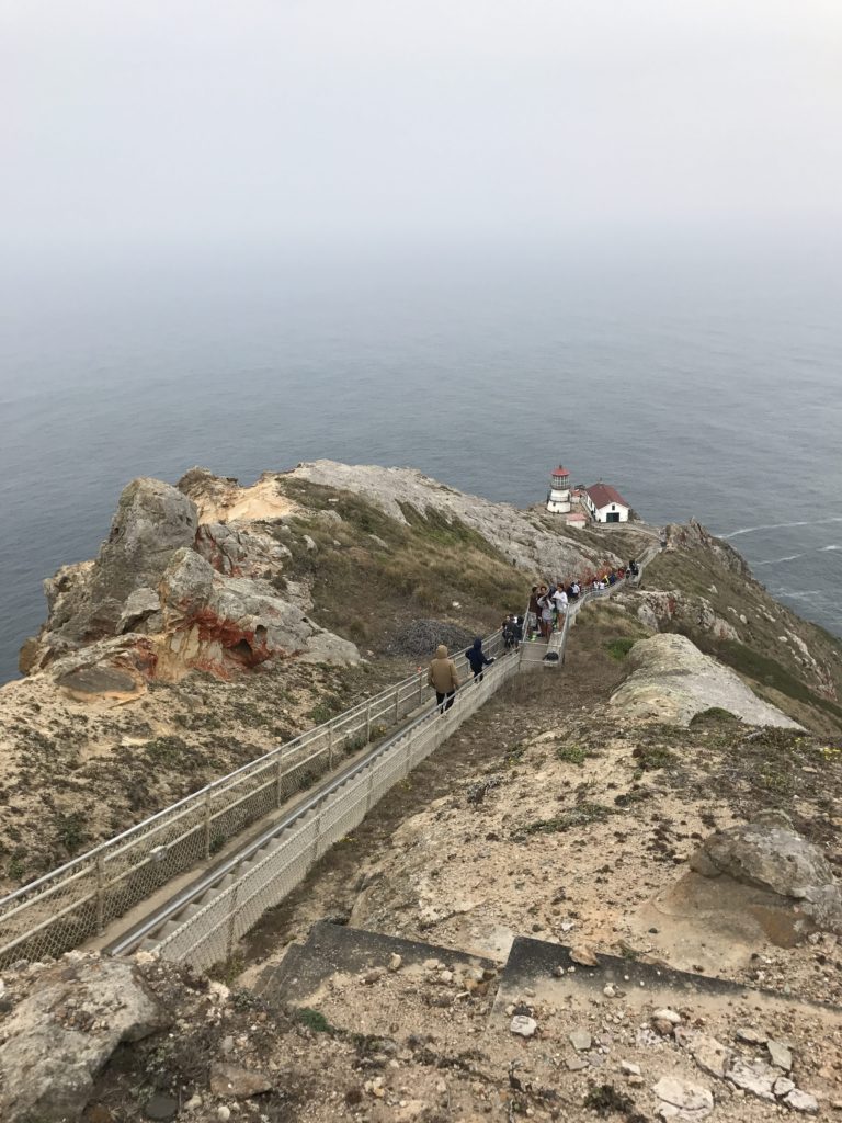 Point Reyes Base Day Trip to Point Reyes from San Francisco • Go Near Far