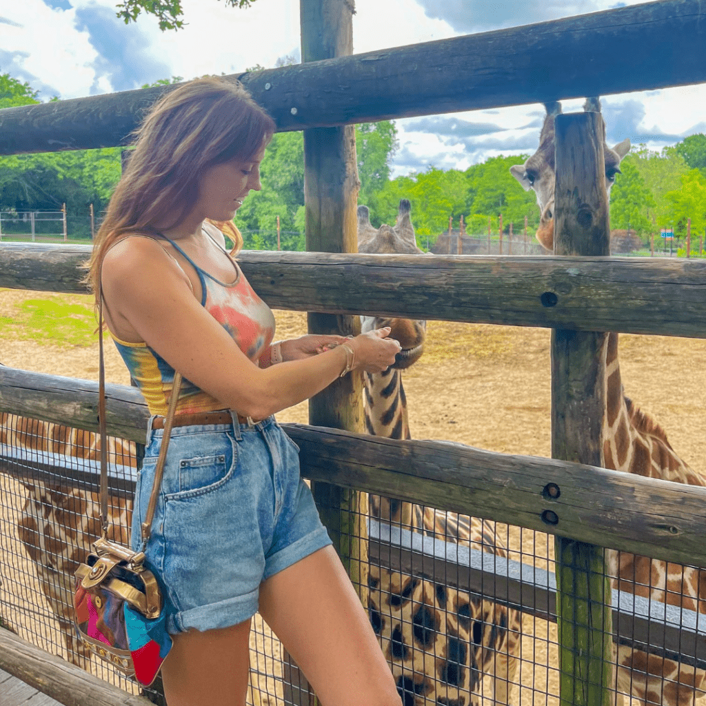 Spend One Day in Springfield Missouri - Go Near Far